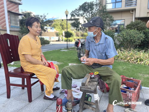 义诊 理发 磨刀 便民集市开在家门口